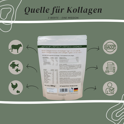 Multi Kollagen Komplex
