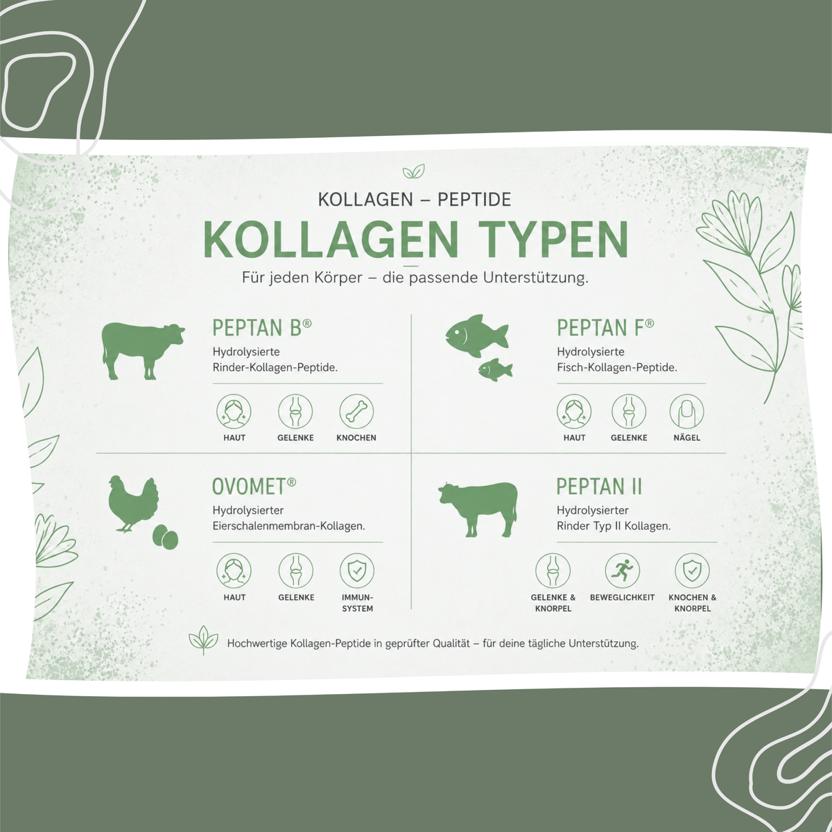 Multi Kollagen Komplex
