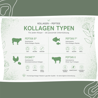 Multi Kollagen Komplex