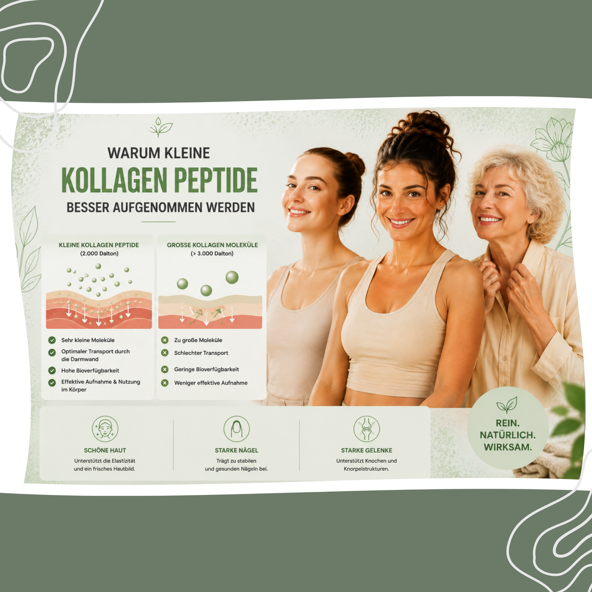 Multi Kollagen Komplex