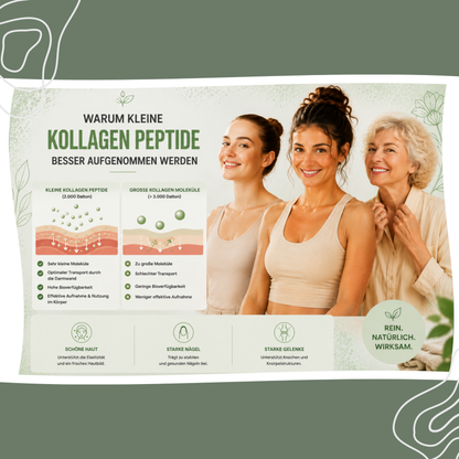 Multi Kollagen Komplex