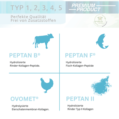 Multi Kollagen Pulver Typ I - V - NaturGEG Vital GmbH